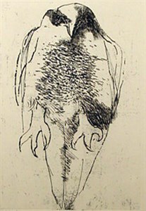 Image description is not available for 1991.031